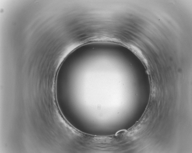 X0000086990863200704231843