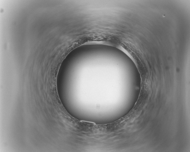 X0000086990865200704231842