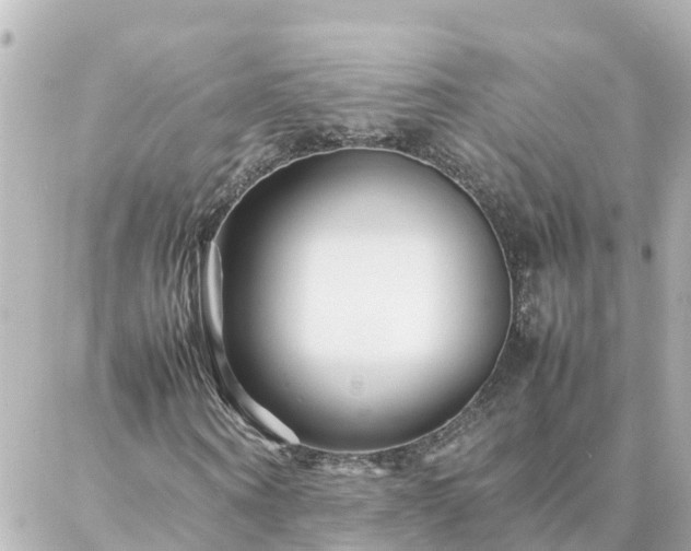 X0000086990866200704231842