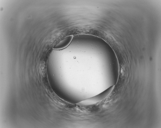 X0000086990867200704231842