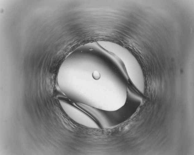 X0000086990868200704231842