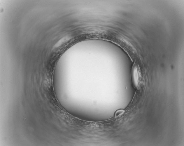 X0000086990869200704231842