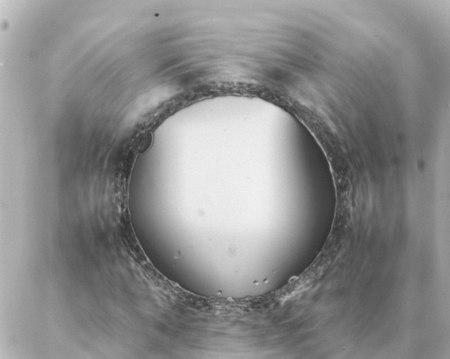 X0000086990870200704231842