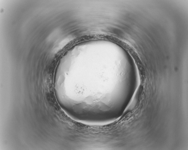 X0000086990871200704231842