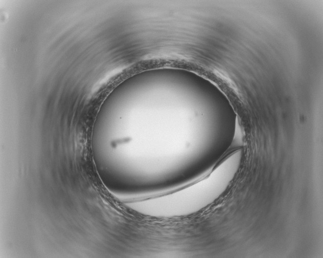 X0000086990872200704231842