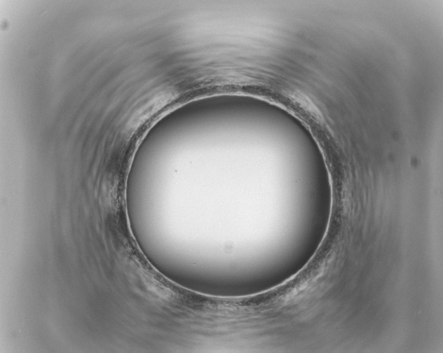 X0000086990873200704231842