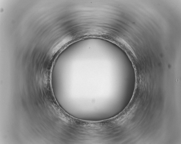 X0000086990874200704231842