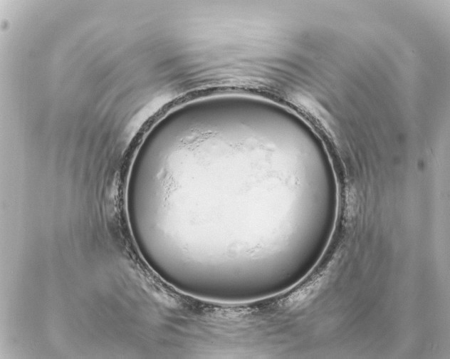 X0000086990875200704231842