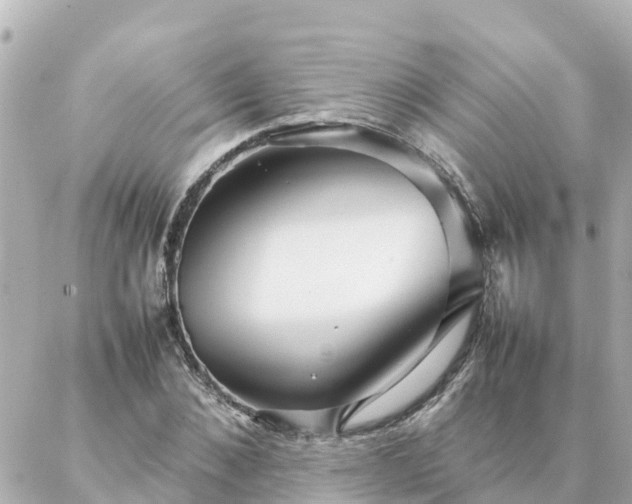 X0000086990876200704231842