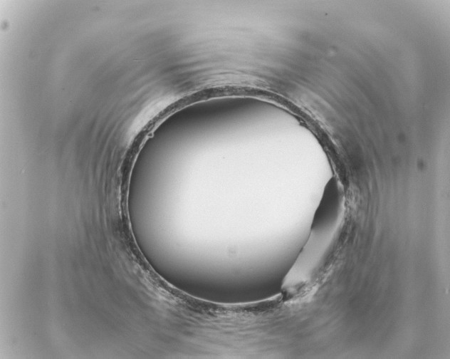 X0000086990877200704231842