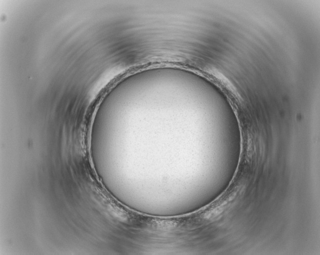 X0000086990878200704231842