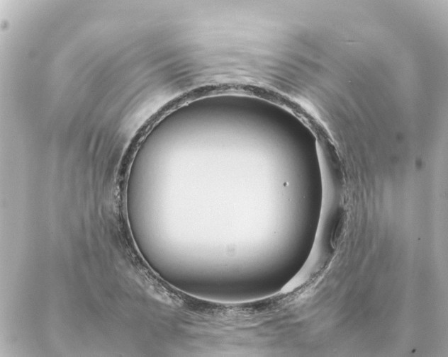 X0000086990879200704231842