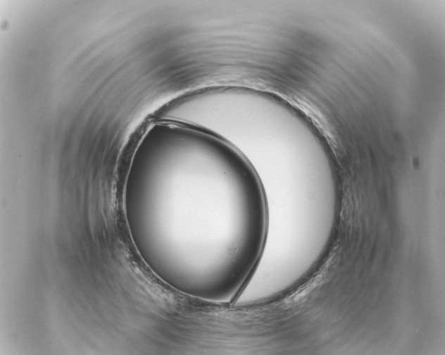 X0000086990880200704231842