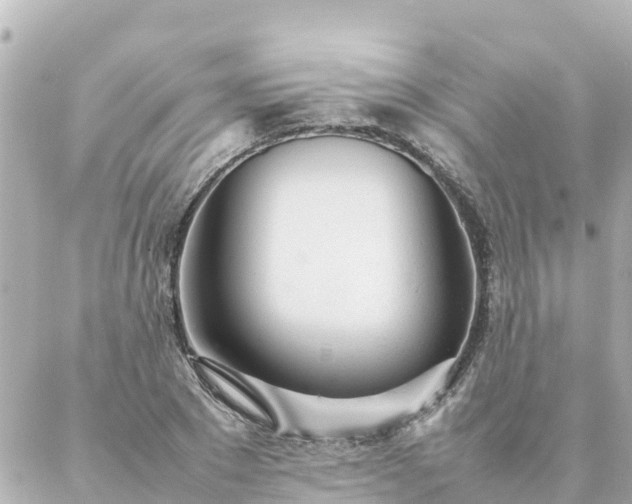 X0000086990881200704231842