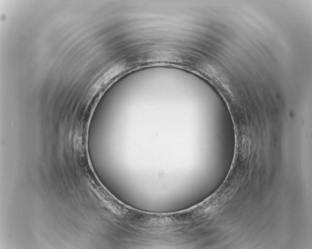 X0000086990882200704231842