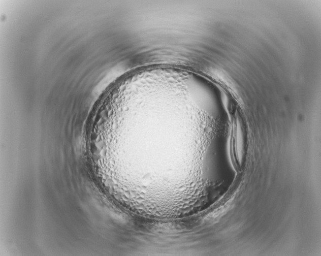 X0000086990883200704231842