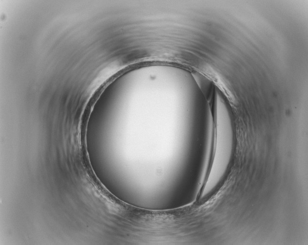 X0000086990884200704231842