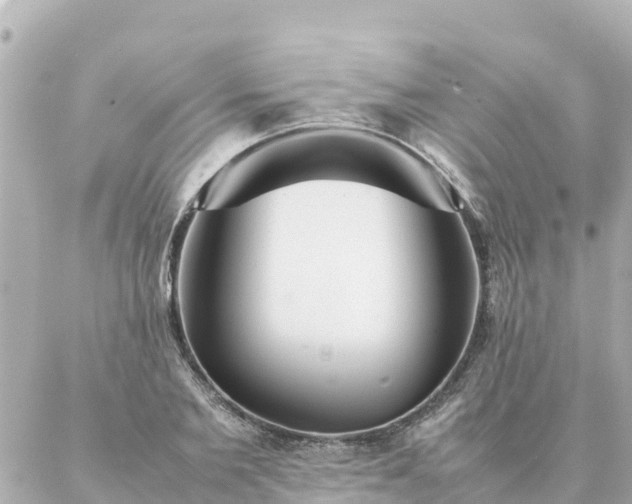 X0000086990885200704231842