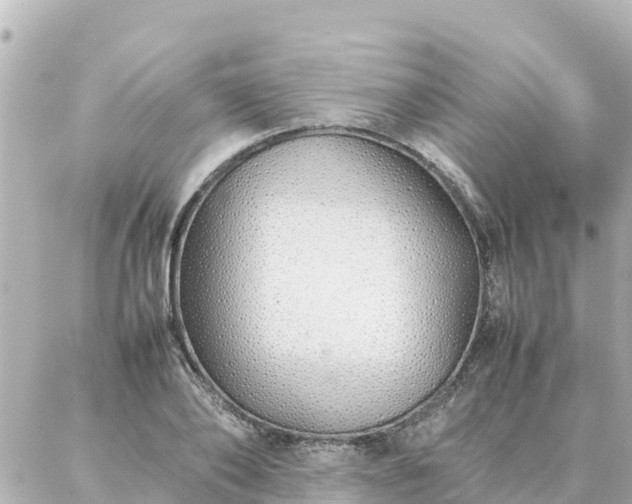 X0000086990886200704231842