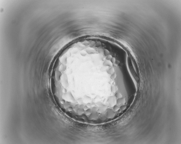 X0000086990887200704231842