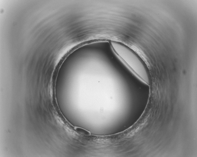 X0000086990888200704231842