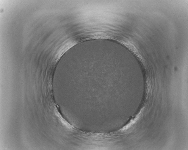 X0000086990889200704231842