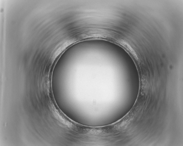 X0000086990890200704231842