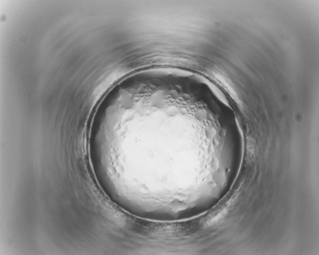 X0000086990891200704231842