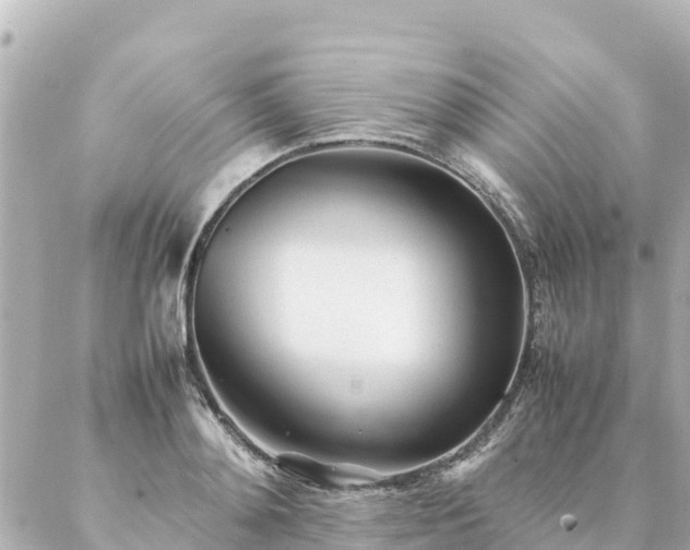 X0000086990892200704231842