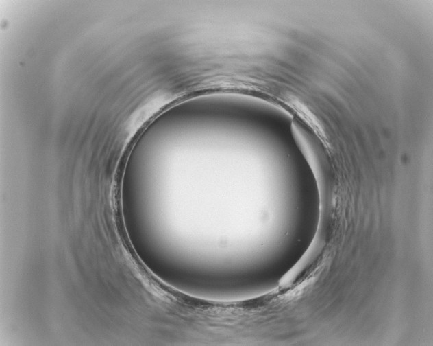 X0000086990893200704231842