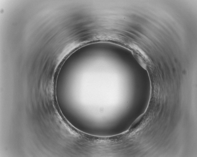 X0000086990894200704231842