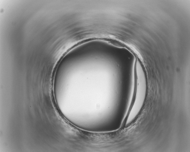 X0000086990895200704231842