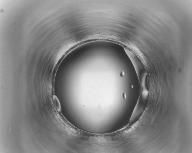 X0000086990896200704231842