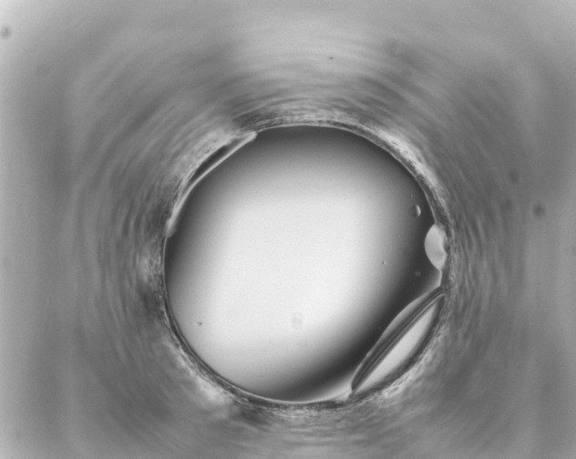 X0000086990897200704231842