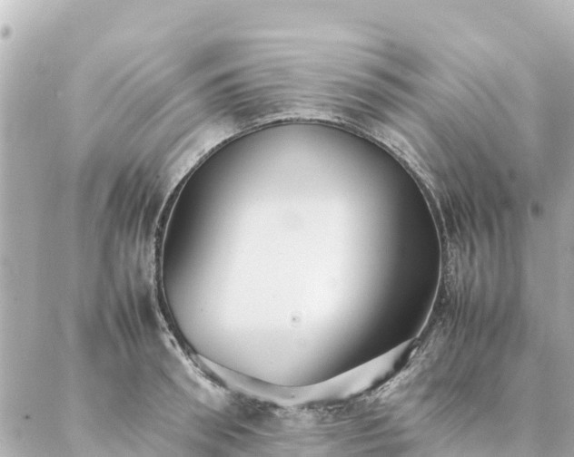 X0000086990898200704231842