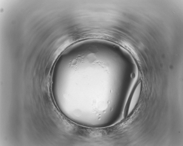 X0000086990899200704231842