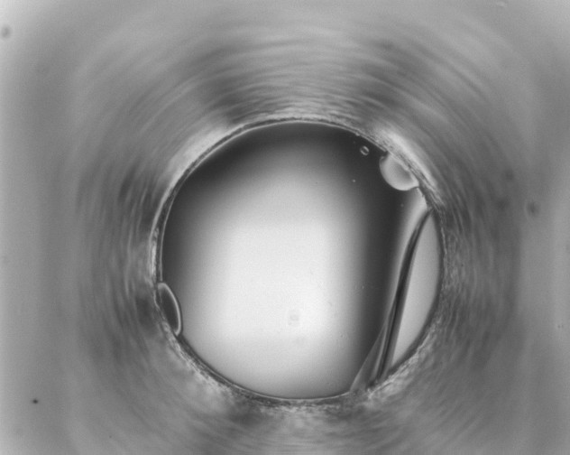 X0000086990900200704231842