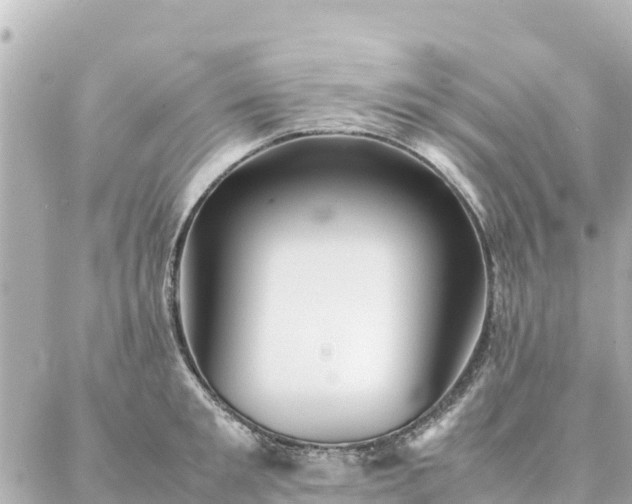 X0000086990901200704231842