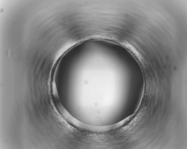 X0000086990902200704231842