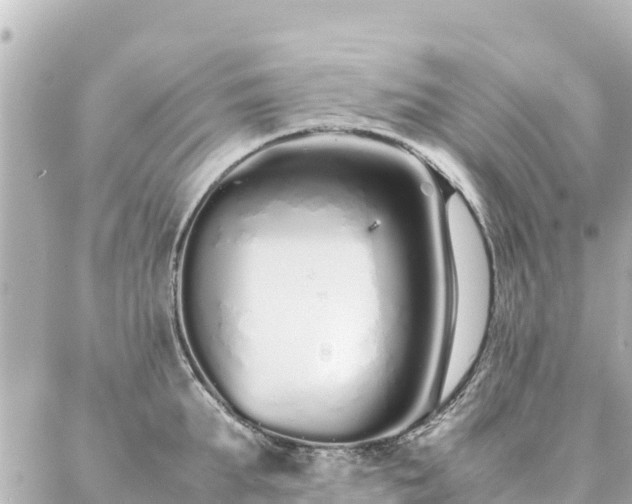 X0000086990903200704231842