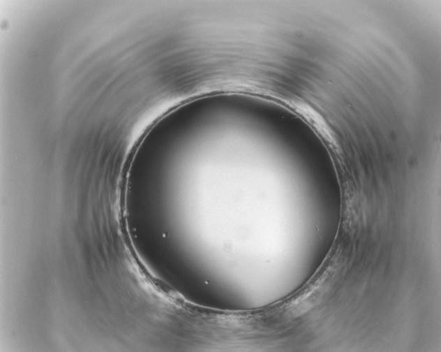 X0000086990904200704231842