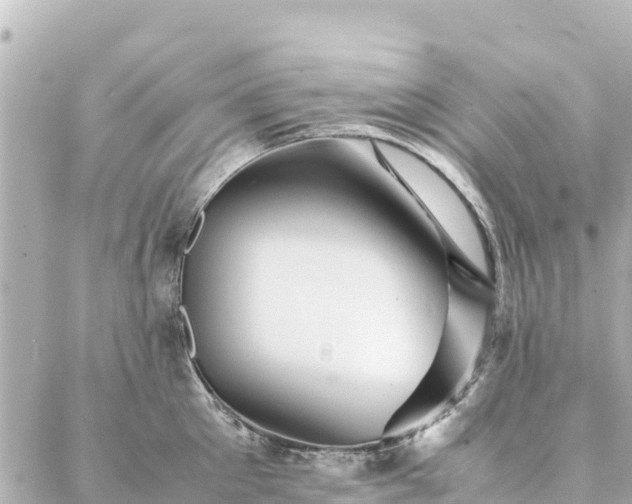 X0000086990905200704231842