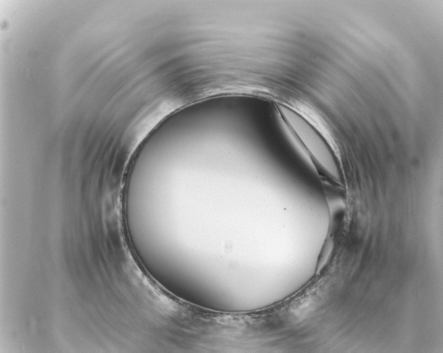 X0000086990906200704231842