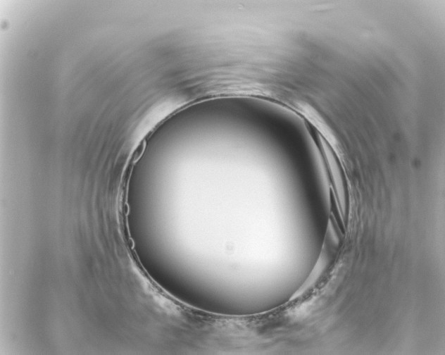 X0000086990909200704231842