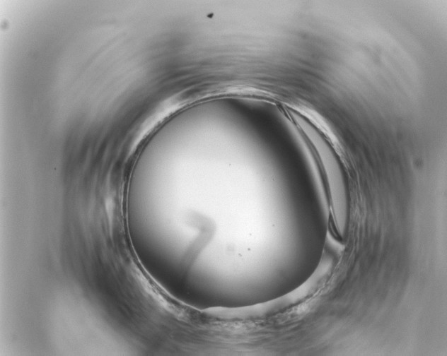 X0000086990910200704231842