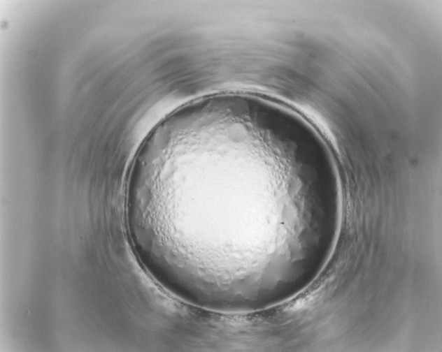 X0000086990911200704231842