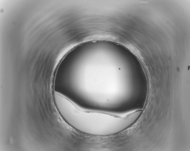 X0000086990912200704231842