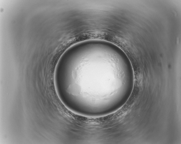 X0000086990913200704231841