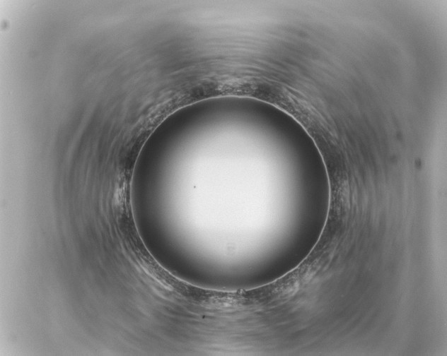 X0000086990914200704231841