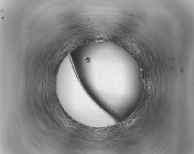 X0000086990916200704231841